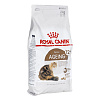 Royal Canin Ageing 2 кг